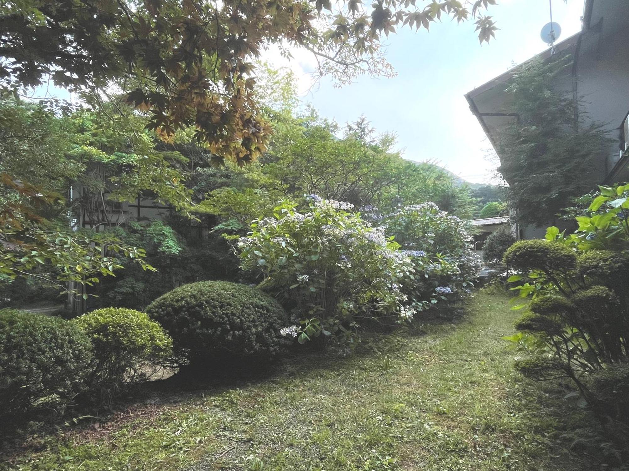 Mitake Otel Hakone Dış mekan fotoğraf